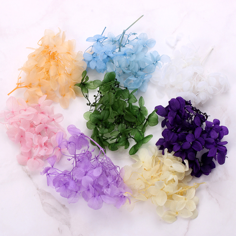 1 Box Dry Flower Diy Epoxy Resin Crafts Handmade Filling Materials Filler Dried Flowers Time Stone Jewelry Making Desk Decor Hot Buy Cheap In An Online Store With Delivery Price Comparison