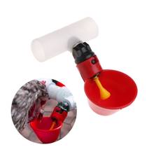 Poultry Water Drinking Cup Plastic Automatically Drinker Chicken Hen Bird Feeder 2024 - buy cheap