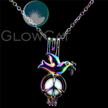 C627 Rainbow Color Flying Peace Bird Beads Cage Perfume Essential Oil Diffuser Oyster Pearl Cage Locket Necklace 2024 - buy cheap