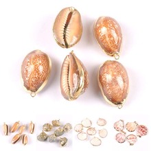 Natural spiral seashell Gold Plated sector shells for earring DIY handmade charms pendant Home Drop decoration 5pcs TRS0308 2024 - buy cheap