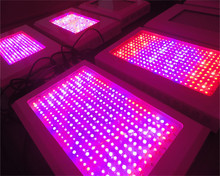 Top value 1000W led grow light red 630nm blue 460nm  grow led lights for plants growing and flowering plant grow lights 2024 - buy cheap