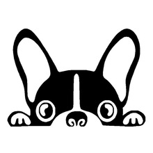 15.2*10.8CM Boston Terrier Dog Vinyl Decal Cute Funny Peep Animal Car Tail Decorative Stickers Black/Sliver C6-1034 2024 - buy cheap