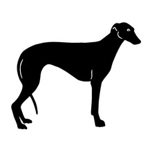 HotMeiNi-pegatinas de coche con forma de perro para mascotas, calcomanías decorativas de animales divertidos, 15,5x12,7 CM, color negro y plateado 2024 - compra barato