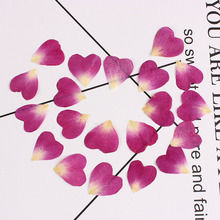 1-2cm/100pcs,Pressed Rose Flower petals,Nature Eternal Rose Petals for DIY Wedding Party Craft Bookmark Gift Card,Facial Decor 2024 - buy cheap
