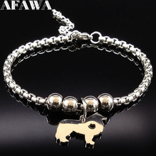 Border Collie Dog-pulsera de acero inoxidable para mujer, brazalete con abalorios, Color plata, Pokemon Dog, joyería, B18007, 2021 2024 - compra barato