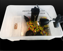 HONGYI-caja de cría de tortugas, tanque de peces, lugar de descanso, cilindro desnudo, tamaño S/M/L, 1 pieza 2024 - compra barato