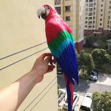 real life Bird colourful red feathers parrot model large 60cm home decoration filming prop decoration toy gift h1212 2024 - buy cheap