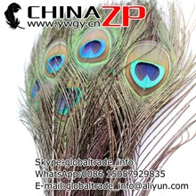 CHINAZP fábrica 60-70 cm de longitud 100 unids/lote fantástico DIY decoración Natural plumas de pavo real 2024 - compra barato