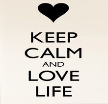 2015 New Arrival Hospital Clinic Wall Decor Vinyl Sticker Room Decal Art Keep Calm And Love Life Quote Mural Wall Sticker 2024 - buy cheap