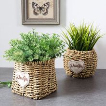 Seagrass Belly Storage Basket Straw Basket Write Wicker basket Storage bag White Garden Flower Pot Planter Handmade Organizer 2024 - buy cheap