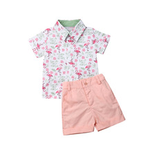 Citgeett verão 2 pçs da criança crianças bebê menino camisa flamingo topos + calças rosa curto formal festa roupa cavalheiro conjunto 2024 - compre barato