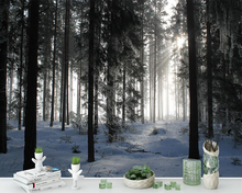 Decorative wallpaper Landscape of snow mountain forest background wall painting 2024 - buy cheap