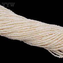 Contas de pérolas barrocas cultivadas em água fresca, branco natural, furo de 2-3mm, cordão de 1mm, 15.5 polegadas, acessórios para fazer joias 2024 - compre barato