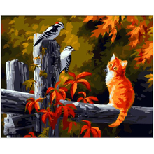 Yunxi art, Cat & bird DIY Painting By Numbers Drawing coloring By Numbers Canvas painting on wall 40*50cm crafts gift RS282 2024 - buy cheap