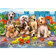 Diamond Mosaic Full Squarer/Round Diamond Embroidery Dog DIY Diamond Painting Flower Cross stitch Rhinestone Decor Paintings KL9 2024 - buy cheap