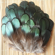 Free shipping manufacturers selling DIY pheasant feathers /jewelry accessories/natural feather 5-8cm 50pcs/lot 2024 - buy cheap
