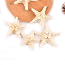 2pcs Natural Starfish Nautical Beige Sea Shells For Wedding Decoration DIY Scrapbooking Carft Party Home Decor 5-10CM C0328 2024 - buy cheap