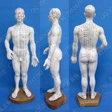 free shipping big human manequin model 50 cm Ex-b2 mannequin 50cm mannequin male 2024 - buy cheap