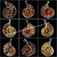 20Pcs/Lot Metal Wrapped Mixed Natural Ammonite Fossil stone Pendant Bead Wholesale 2024 - buy cheap