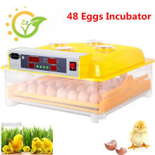 DE Mini 48 eggs incubator poultry hatcher machine digital electric tray auto hatching brooder  chicken incubation 2024 - buy cheap