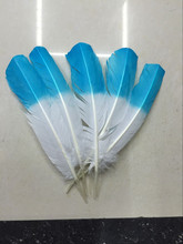 Penas redondas de peru para tamanco-luz azul mergulhado para cima, 10-12 polegadas 25-30cm de comprimento e entrega grátis 2024 - compre barato