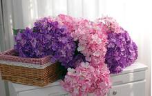 Ramo de flores artificiales para decoración del hogar, 7 cabezas de conchas de lana de seda, hortensias, 19 colores por lote, Available-10pcs 2024 - compra barato
