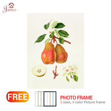 100% Full Square Round 5D Diy Diamond Painting Full Drill Plant Fruit Diamond Inlay Diamond Embroidery Home Decoration 2024 - buy cheap