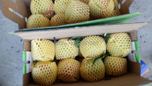 14cm*7cm 850pcs Fruit foam for Apples orange pears white EPE Foam mesh sleeve net Thick fruit foam sleeve net  packing material 2024 - buy cheap
