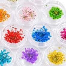 Flores secas de 12 colores para decoración de uñas, herramientas de manicura creativas, flores naturales, gypsophila 2024 - compra barato