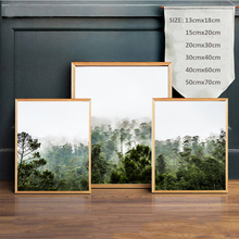 Quadros Forest Nature Landscape Posters and Prints Wall Pop Art Print Canvas Painting Calligraphy Wall Pictures For Living Room 2024 - buy cheap