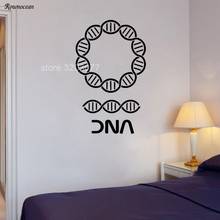 DNA Wall Stickers Genealogy Biology Chemistry School Wall Ornament Science Vinyl Wall Decal Sticker Home Decor Bedroom SK21 2024 - buy cheap