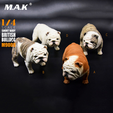 1:4 Short Body Exaggerated British Bulldog Resin Statue M-9009 Model 4 Colors for 18" Collectible Action Figure Scene Accessory 2024 - buy cheap