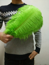 50 pc quality apple green ostrich feathers, 14-16 inches / 35-40 cm, DIY wedding decorations 2024 - buy cheap