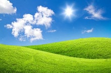 green grass blue sky background Vinyl cloth High quality Computer print party backdrops 2024 - buy cheap