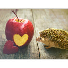 Diy 5D diamond painting cross-stitch Hedgehog full square diamond mosaic rhinestone painting diamond embroidery apple picture 2024 - buy cheap