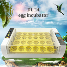 Top Quality 24 egg incubator Temperature Control Egg Turning Home use for small poultry chicken  birds with Transparent Lid 2024 - buy cheap