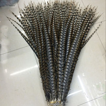 wholesale 100pcs high quality natural Lady Amherst Pheasant Feathers 10-120cm/4-48inch Wedding Accessories Stage performance diy 2024 - buy cheap