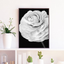 Pintura de tela para parede do ranunculus, flor plantas moderna para parede, poster preto e branco, estampas para o dia das mães, decoração para parede do quarto 2024 - compre barato