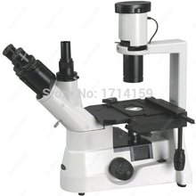 Inverted Microscope-AmScope Supplies 40x-800x Long Distance Plan Optical Biological Inverted Microscope 2024 - buy cheap