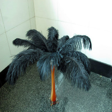¡Caliente! Envío gratis al por mayor 100/lote pluma de avestruz color negro 16-18 pulgadas/40-45 cm DIY decoraciones interiores de boda 2024 - compra barato