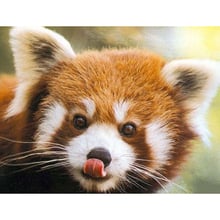 Full Square/Round Drill 5D DIY Diamond Painting "Ailurus fulgens/red pandas" Embroidery Cross Stitch Mosaic Home Decor Gift HYY 2024 - buy cheap