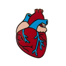 Эмалированная булавка для анатомического сердца 2024 - купить недорого