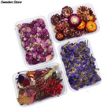 1 Box Real Mix Dried Flowers for Resin Jewellery Dry Plants Pressed Flowers Making Craft DIY Accessories 2024 - buy cheap