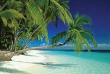 Póster de seda con estampado artístico para decoración del hogar, palmeras de playa y mar de Maldivas en una isla Tropical, novedad 2024 - compra barato