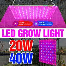 Lámpara LED de espectro completo para crecimiento de plantas, luz LED Phyto para tienda de cultivo, 20W, 40W, plántulas de flores, luz de invernadero interior, Fitolampy 2024 - compra barato