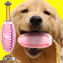 Brinquedo de cachorro de borracha, popular, cão, buldogue francês, escova de dentes, bola de mastigar, brinquedo interativo para animais de estimação, ferramentas de limpeza de dentes, labrador 2024 - compre barato