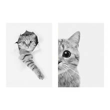 5D DIY кошка черно-белая картина Алмазная картина животное полная дрель Nouveaute мозаика вышивка крестиком домашний декор 2024 - купить недорого