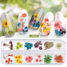 Mixed Color Dried Flower 3D Nail Decorations Natural Flower Nail Sticker Accessories Manicure UV Gel Polish Nail Decals with Box 2024 - buy cheap