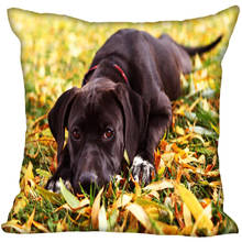 Nice Cane Corso Dog Pillow Case Modern Home Decorative Pillowcase 35x35cm,40X40cm(one sides) For Living Room Pillow Cover 2024 - buy cheap