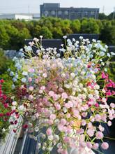 1pc gypsophila falso buquê de flores simulação de plástico para decoração de festa em casa casamento segurando flores 2024 - compre barato